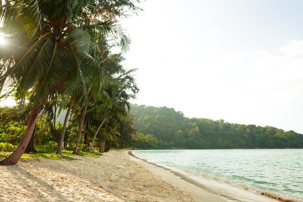 Mar. Paraíso Tropical.