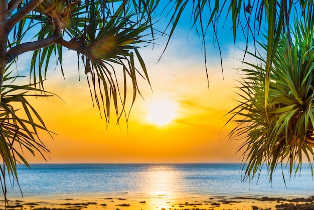 Mar y playa al atardecer con palmeras de coco y sol al atardecer en un cielo espectacular