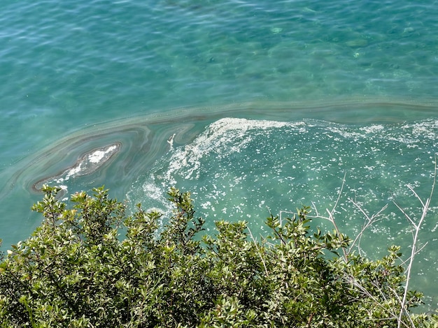 Mar poluído por óleo perto da praia Desastre ambiental