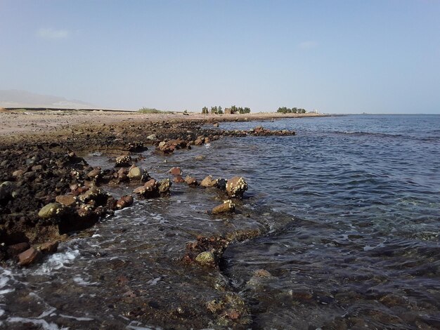 Foto mar rojo en el balneario egipcio de sharm el sheikh