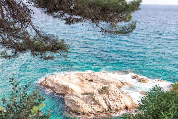 El mar a través de las verdes ramas de pino. Lloret de Mar, Costa Brava, Cataluña, España