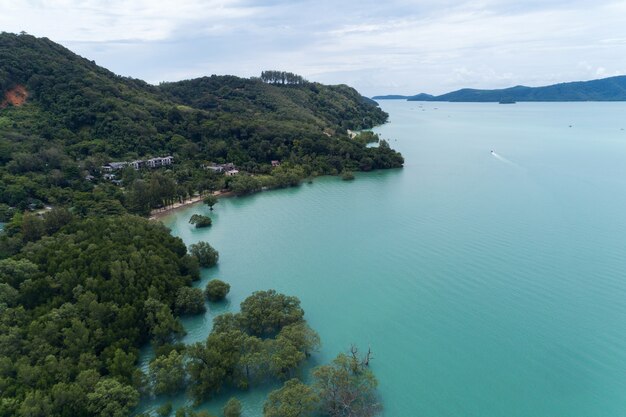 Mar tropical con árboles de mangle en el mar, drone shot