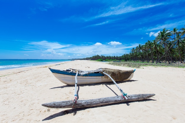 Mar tropical con bote de madera