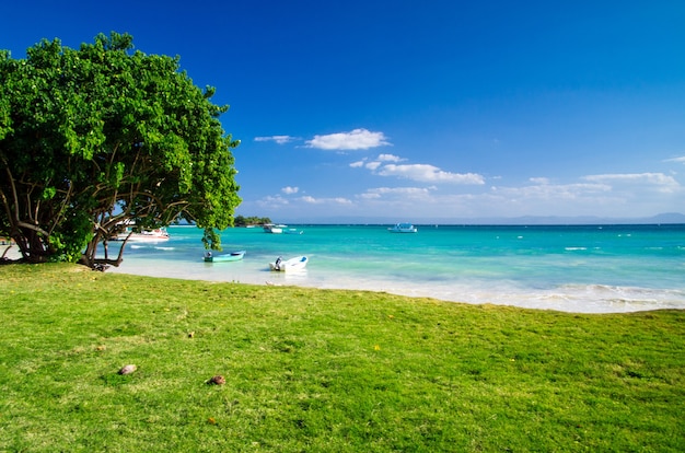 Foto mar tropical bajo el cielo azul