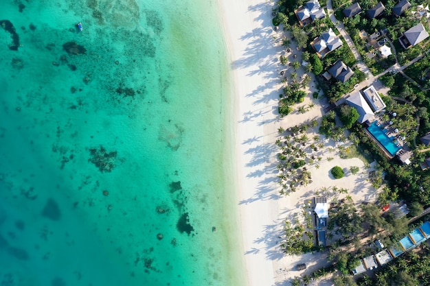 Mar Tropical. Increíble vista de pájaro en Zanzíbar