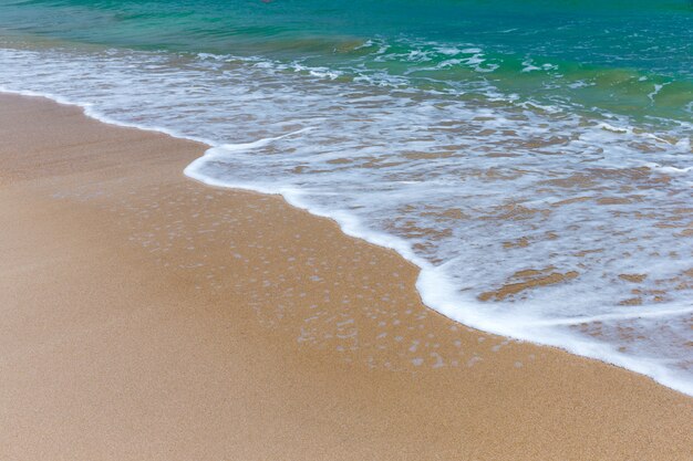 Mar tropical, orilla del mar con olas