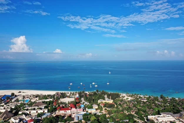 Mar Tropical. Vista incrível de pássaros em Zanzibar