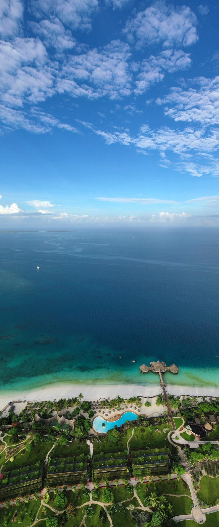 Foto mar tropical. vista incrível de pássaros em zanzibar