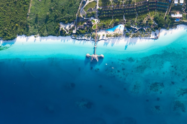 Mar Tropical. Vista incrível de pássaros em Zanzibar