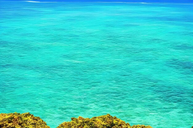 Mar turquesa brilhante tropical