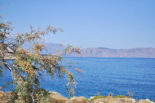 Mar verano paisaje costa de la isla griega