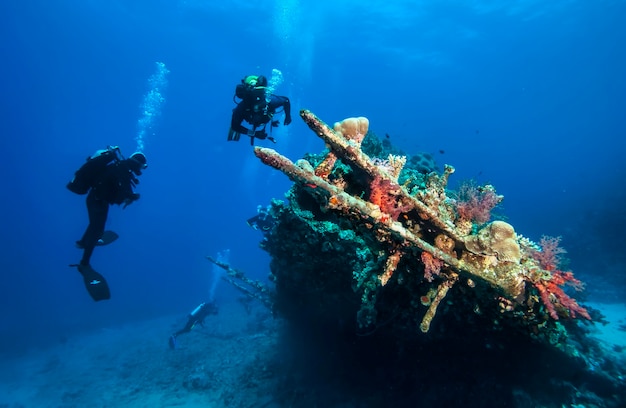 Mar vermelho, áfrica, outubro de 2015: mergulhadores exploram navios naufragados no fundo do mar. vida marinha subaquática no oceano azul. mundo animal de observação. aventura de mergulho no mar vermelho