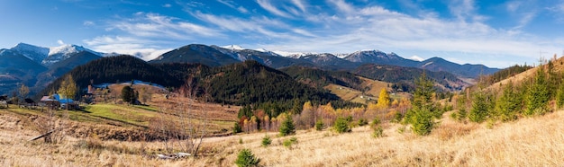 Maravilhosa bela paisagem com floresta de montanhas e prado com árvores nas montanhas dos Cárpatos Ucrânia