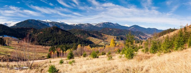 Maravilhosa bela paisagem com floresta de montanhas e prado com árvores nas montanhas dos cárpatos ucrânia