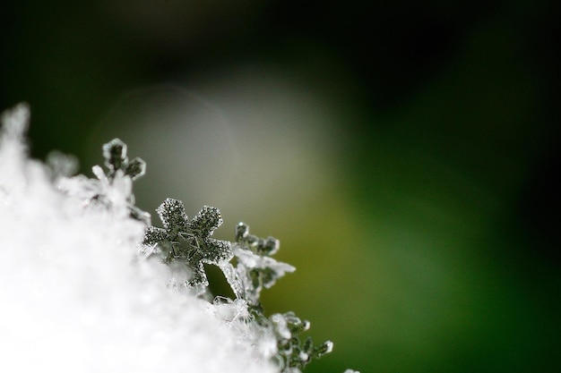 Maravilhosa macro de cristal de neve