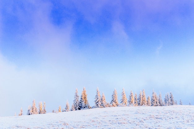 Maravilhosa paisagem de inverno