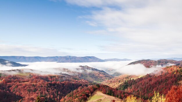 Maravilhosa paisagem de outono com lindo céu azul e nuvens majestosas Forest Sunset Beautiful Fall Season Forest Mountain Sunset Orange Colors Espiritualidade Inspiração Férias Conceito