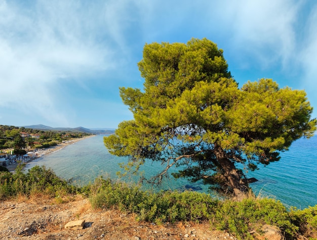 Maravilhosa praia de areia no mar Egeu em Sithonia Halkidiki Grécia