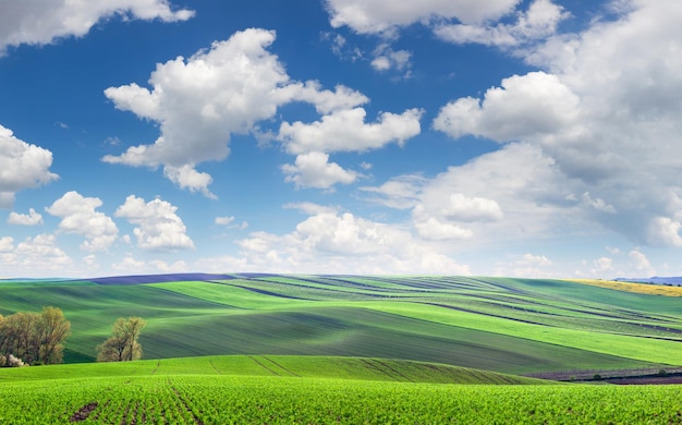 Maravilhosa vista panorâmica de campos em belas colinas coloridas e listradas