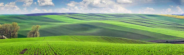 Maravilhosa vista panorâmica dos campos no belo vale colorido