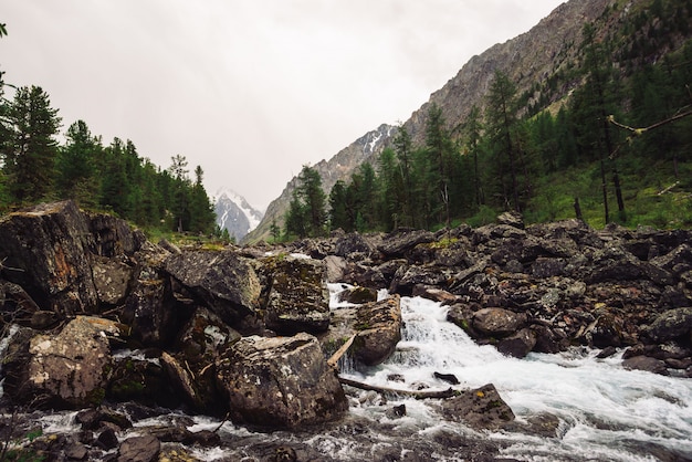 Maravilhoso fluxo de água rápida da geleira no riacho de montanha selvagem com grandes pedras molhadas. Incrível paisagem cênica com floresta e montanhas nevadas. Cenário atmosférico das terras altas.