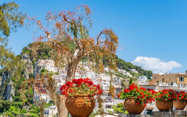 La maravillosa isla de Capri Amalfi costa bahía de Nápoles Italia