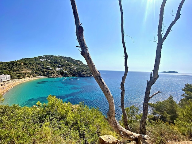 Foto la maravillosa isla de ibiza islas baleares españa