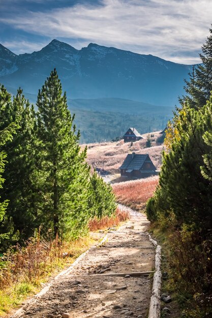 Maravillosa puesta de sol en el valle de la montaña en otoño Tatras