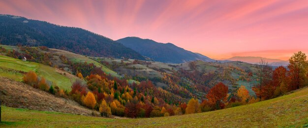 Maravillosa vista de las montañas que brillan bajo la luz del sol Espectacular escena matutina Parque nacional de los Cárpatos Paso Synevyr Ucrania Europa Imagen artística Mundo de belleza Efecto tonificante cálido