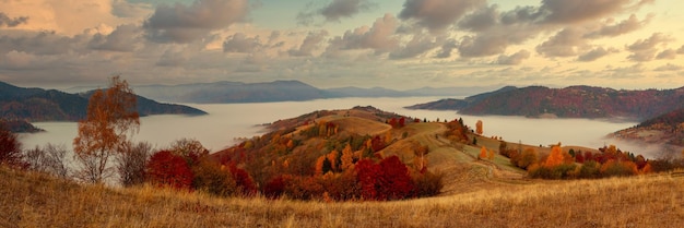 Maravillosa vista de las montañas que brillan bajo la luz del sol Espectacular escena matutina Parque nacional de los Cárpatos Paso Synevyr Ucrania Europa Imagen artística Mundo de belleza Efecto tonificante cálido