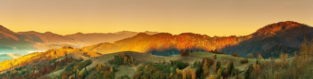 Maravillosa vista de las montañas que brillan bajo la luz del sol Espectacular escena matutina Parque nacional de los Cárpatos Paso Synevyr Ucrania Europa Imagen artística Mundo de belleza Efecto tonificante cálido