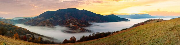 Maravillosa vista de las montañas que brillan bajo la luz del sol Espectacular escena matutina Parque nacional de los Cárpatos Paso Synevyr Ucrania Europa Imagen artística Mundo de belleza Efecto tonificante cálido