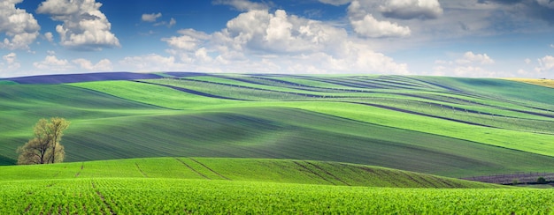 Maravillosa vista panorámica de hermosas colinas coloridas y rayadas