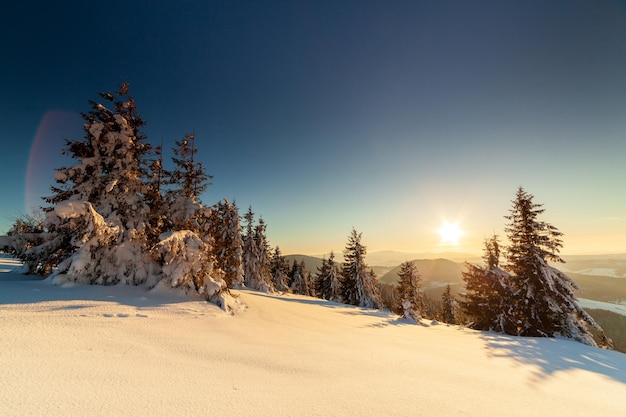 Maravillosamente majestuoso paisaje invernal que brilla intensamente por la luz del sol escena invernal Cárpatos Ucrania Europa Belleza mundo Feliz Año Nuevo