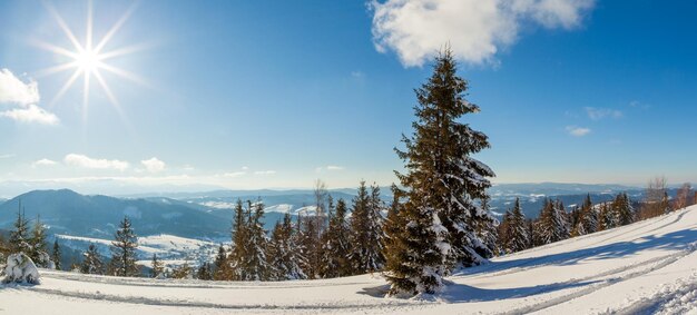 Maravillosamente majestuoso paisaje invernal que brilla intensamente por la luz del sol escena invernal Cárpatos Ucrania Europa Belleza mundo Feliz Año Nuevo