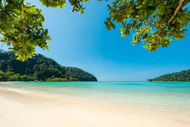 Maravilloso mar turquesa en el mar de Andaman, hermosa playa y suave ola en la isla de Surin