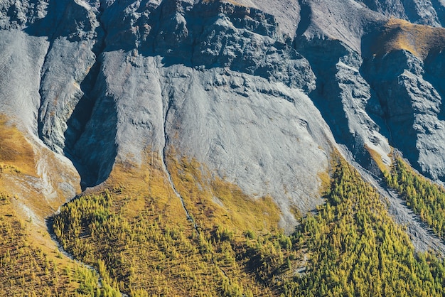 Maravilloso paisaje alpino con bosque de otoño naranja al pie de la montaña rocosa bajo el sol. Paisaje de montaña abigarrada con rocas grises y bosque en Piamonte en colores dorados del otoño. Otoño en las montañas.