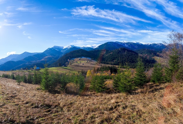 Maravilloso paisaje hermoso con bosques de montañas y prados con árboles en las montañas de los Cárpatos Ucrania