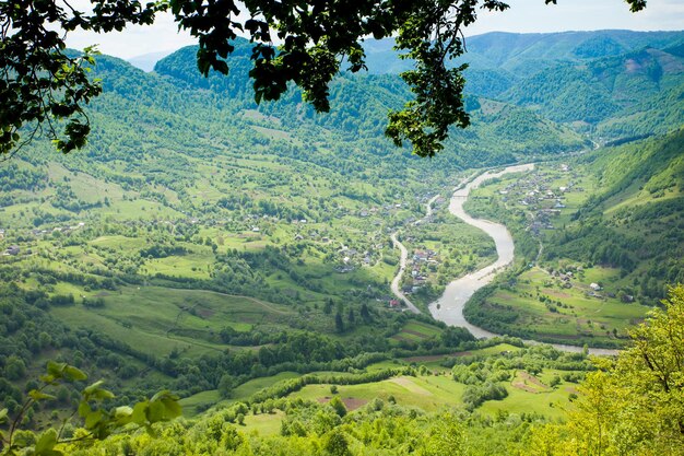 Maravilloso paisaje de montaña impresionante con árboles verdes y un sendero en el fondo del cielo azul.