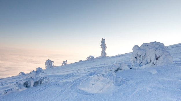 Maravilloso paisaje de montaña de invierno, amanecer en la cima de la montaña por encima de las nubes.