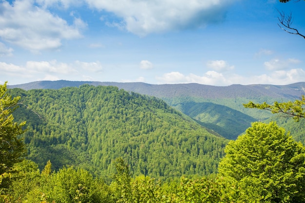 Maravilloso paisaje de montaña verde con árboles está en el fondo del cielo azul nublado.