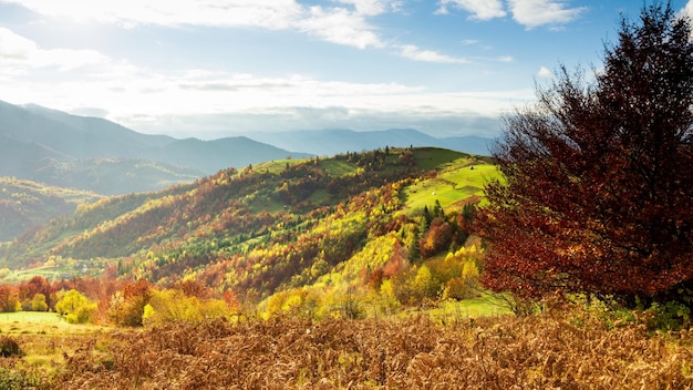 Maravilloso paisaje otoñal con un hermoso cielo azul y nubes majestuosas Atardecer en el bosque Hermosa temporada de otoño Atardecer en la montaña del bosque Colores naranja Espiritualidad Inspiración Concepto de vacaciones