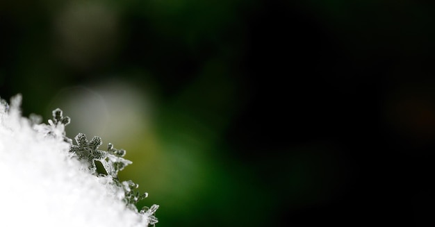 Maravilloso panorama de cristal de nieve