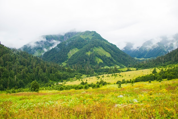 Maravilloso y sorprendente paisaje, niebla y vista a la montaña brumosa en Svaneti