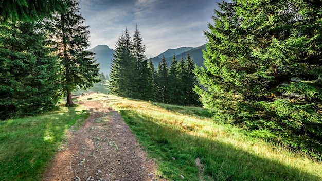 Maravilloso valle en las montañas Tatra al amanecer Polonia Europa