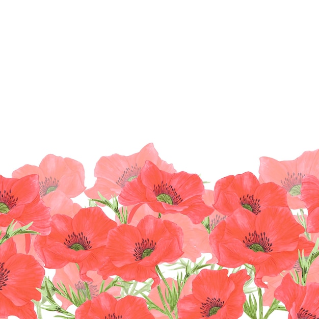 Marca de flores de amapola rojas dibujadas a mano en acuarela aislada en fondo blanco Se puede usar para pancartas de postales y otros productos impresos