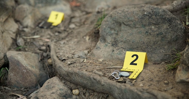 Marcador de evidências de close-up e forense para investigação na cena do crime com chaves no chão ou local do acidente na floresta Números amarelos homicídio ou pesquisa de caso com observação ao ar livre na floresta