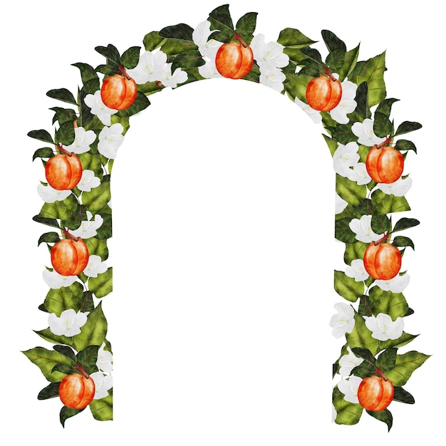 Marco de acuarela de albaricoque ilustración jugosa dibujo a mano de clip art de frutas maduras en blanco aislado