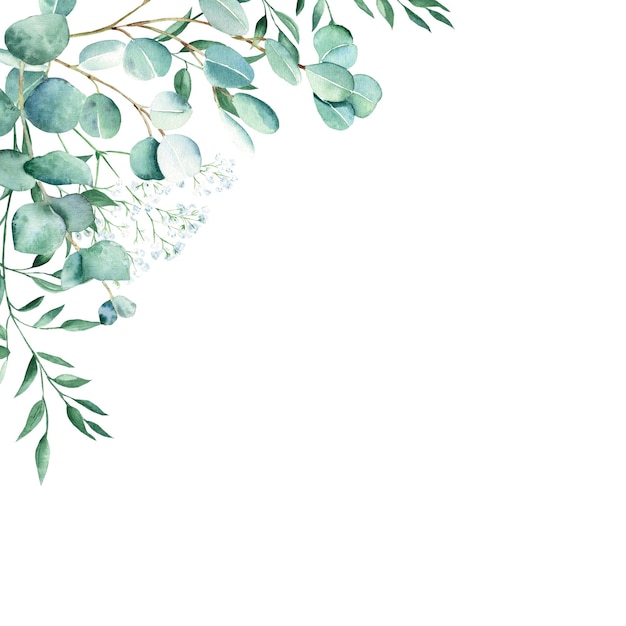 Marco de acuarela eucalipto gypsophila y ramas de pistacho vegetación rústica botánico dibujado a mano