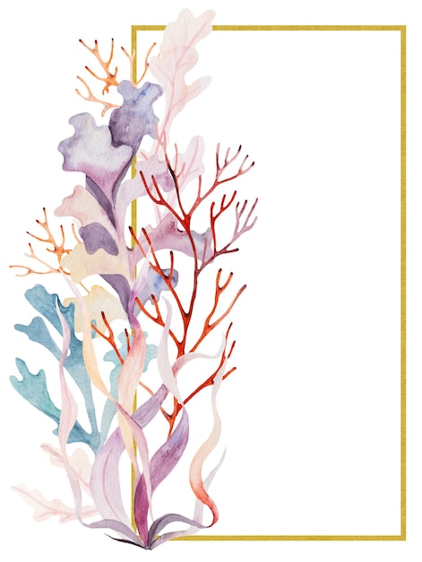 Foto marco de acuarela hecho de algas, estrellas de mar y conchas marinas aisladas elemento submarino ilustración para tarjetas de felicitación invitaciones de boda en la playa de verano elaboración de impresión